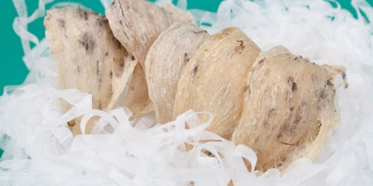 Thành phần galactose trong yến sào