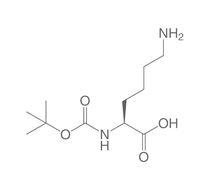Lysine là một axit amin thiết yếu đối với hoạt động của cơ thể