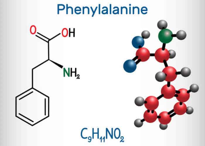 phenylalanine là một loại axit amin quan trọng